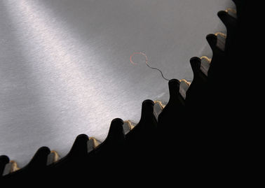 OEM circular de la hoja de sierra de las hojas de sierra/12 pulgadas del corte de madera de la cortadora del TCT